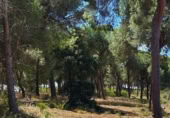 Casa de camp amb terreny en venda a la LUCENA DEL PUERTO, Lucena del Puerto, ref.: TR411851 foto