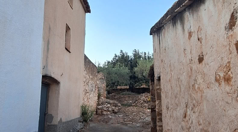 Castellón - la Barona - 22000m2