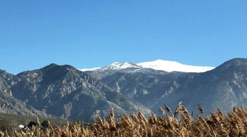 Granada - Padul - 792m2