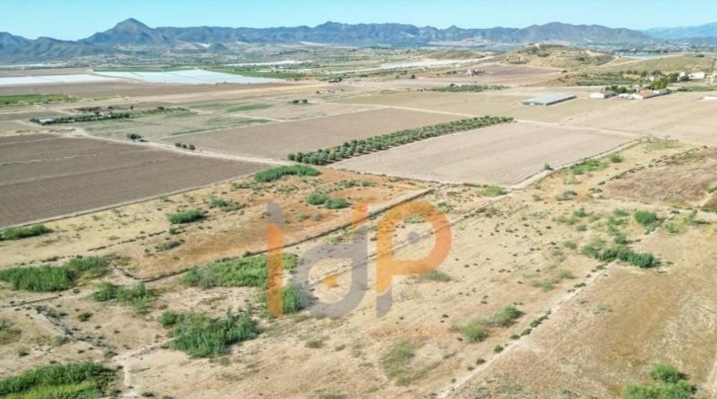 Almería - Huércal-Overa - 10579m2