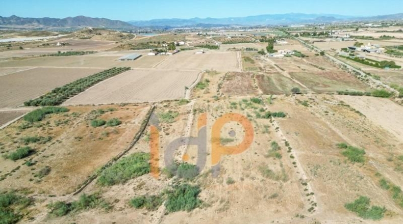 Almería - Huércal-Overa - 10579m2