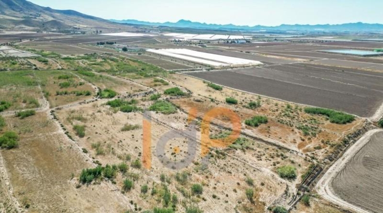 Almería - Huércal-Overa - 10579m2