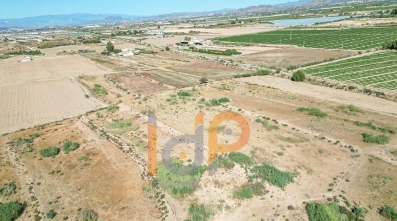 Almería - Huércal-Overa - 10579m2