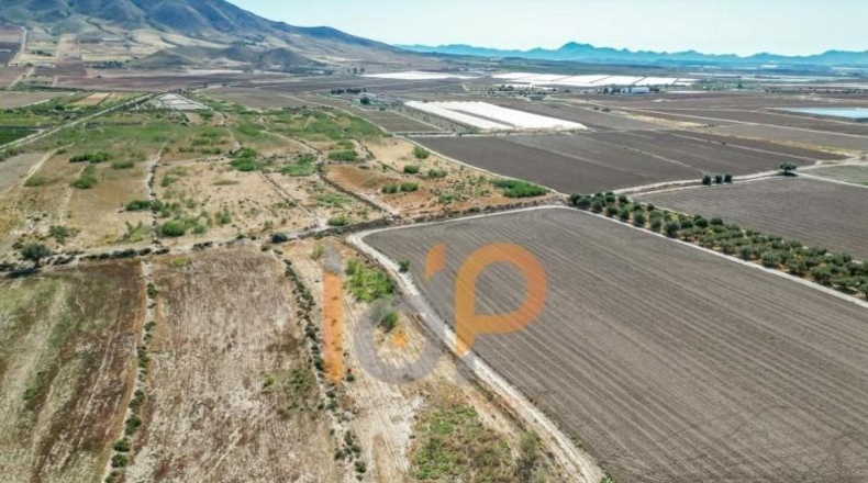 Almería - Huércal-Overa - 10579m2