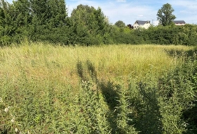 Cubillos del Sil 684&nbsp;m²
