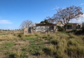 Xalet independent amb terreny en venda a la España, Elx, ref.: TR302850 foto