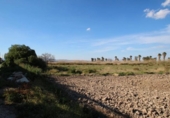 Xalet independent amb terreny en venda a la España, Elx, ref.: TR302850 foto