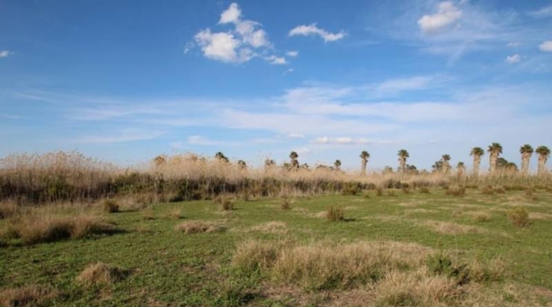 Alicante - Elche - 10000m2