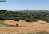 Terreny no urbanitzable en venda a la España, Barbastre, ref.: TR411864 foto