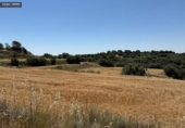 Terreny no urbanitzable en venda a la España, Barbastre, ref.: TR411864 foto