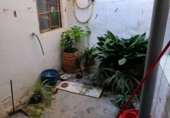 Casa de pueblo en venta en la España, Bullas, ref: TR411867 foto