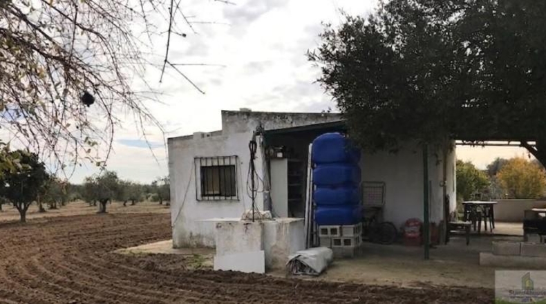 Huelva - Bollullos Par del Condado - 17052m2