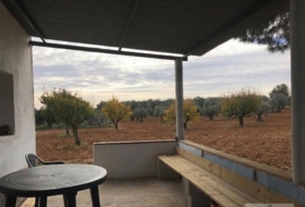 Bollullos Par del Condado 17052&nbsp;m²