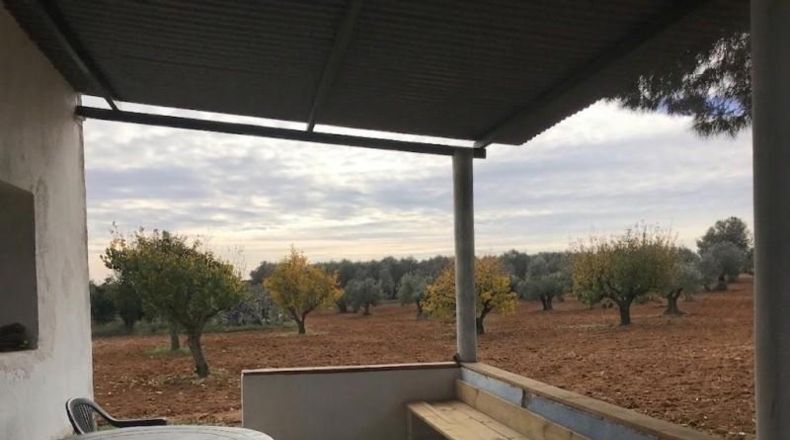 Huelva - Bollullos Par del Condado - 17052m2