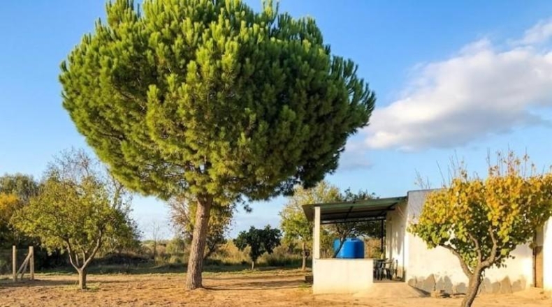 Huelva - Bollullos Par del Condado - 17052m2