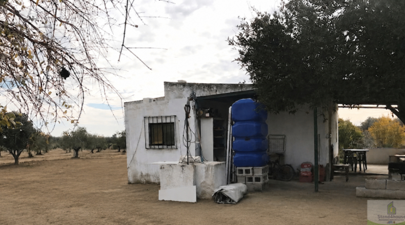 Huelva - Bollullos Par del Condado - 17052m2