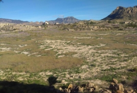 Molina de Segura 20809&nbsp;m²