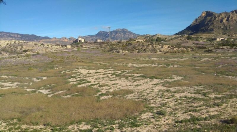 Murcia - Molina de Segura - 20809m2