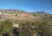 Terreno no urbanizable en venta en la España, Molina de Segura, ref: TR411876 foto