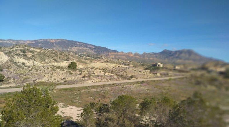 Murcia - Molina de Segura - 20809m2