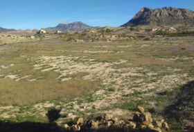 Molina de Segura 20809&nbsp;m²