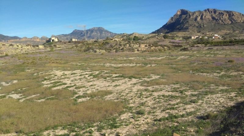 Murcia - Molina de Segura - 20809m2