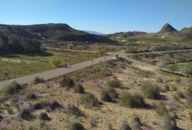 Molina de Segura 20809&nbsp;m²