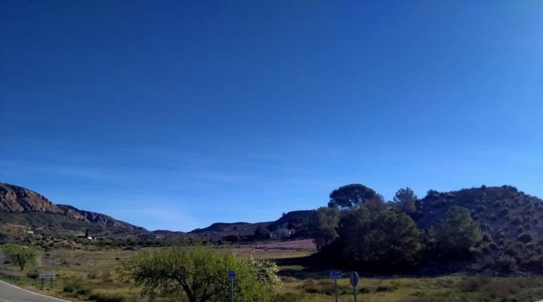 Murcia - Molina de Segura - 20809m2