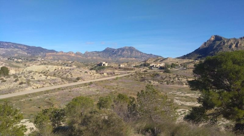 Murcia - Molina de Segura - 20809m2
