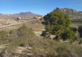 Terreno no urbanizable en venta en la España, Molina de Segura, ref: TR411876 foto