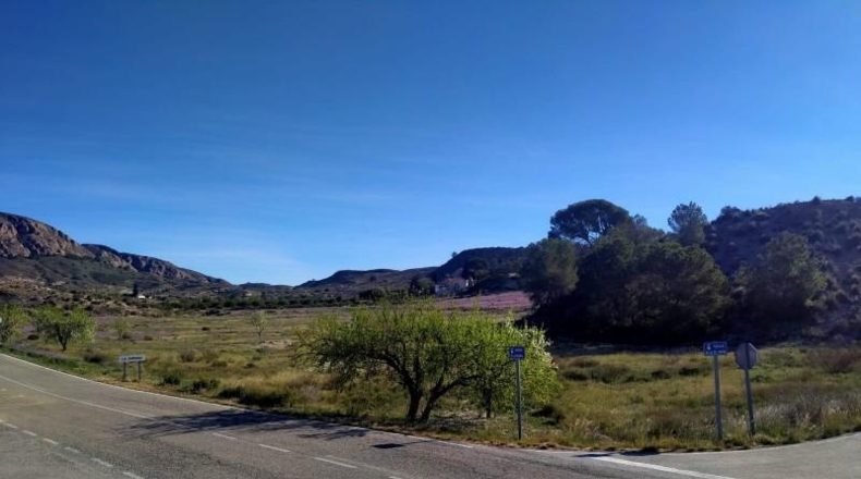 Murcia - Molina de Segura - 20809m2