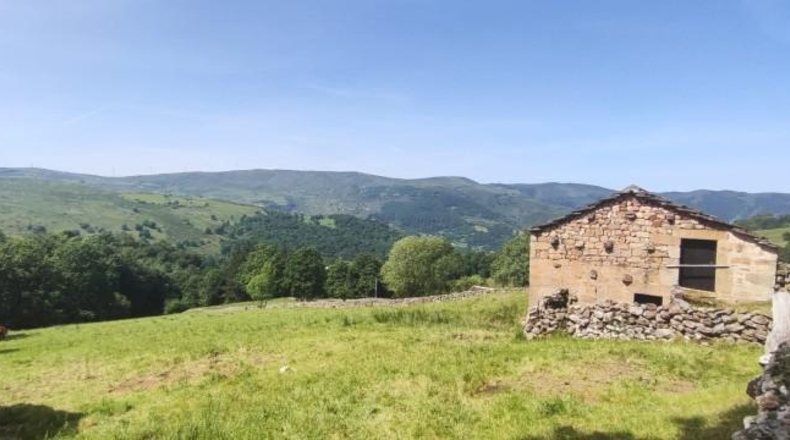 Cantabria - San Miguel de Luena - 7733m2