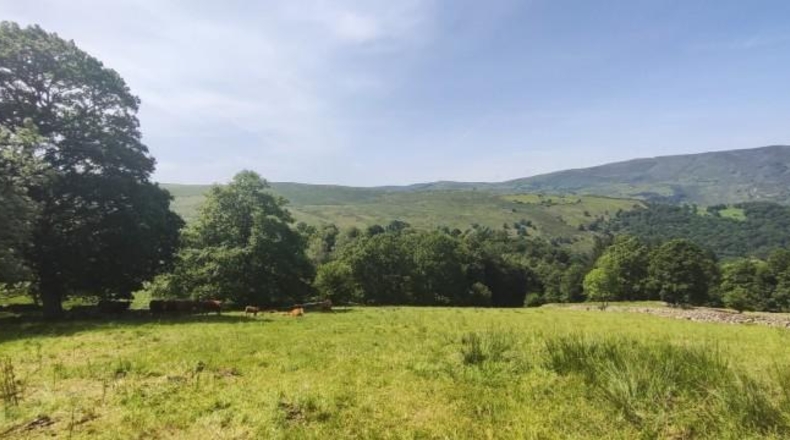 Cantabria - San Miguel de Luena - 7733m2