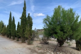Alhama de Granada 3944&nbsp;m²