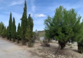 Urban land for sale on España, Alhama de Granada, ref: TR411885 photo