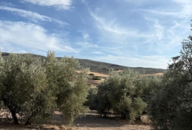 Montefrío 100&nbsp;m² 
