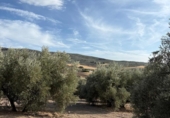 Casa de campo con terreno en venta en la España, Montefrío, ref: TR411894 foto