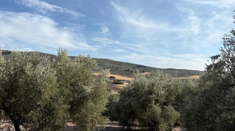 Granada - Montefrío - 100m2