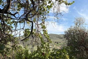 Montefrío 100&nbsp;m² 