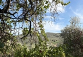Casa de campo con terreno en venta en la España, Montefrío, ref: TR411894 foto