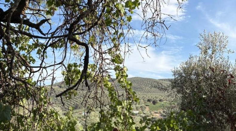 Granada - Montefrío - 100m2