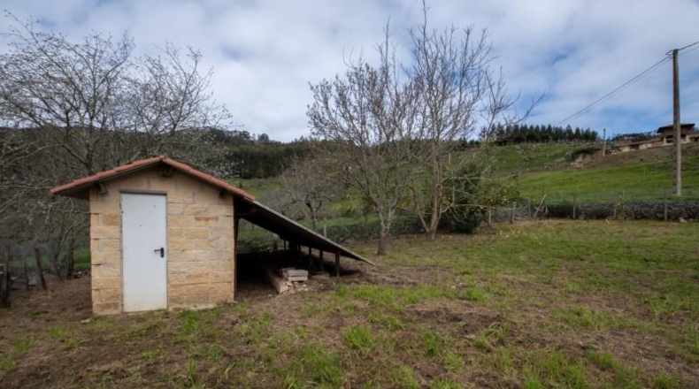 Астурия - Villaviciosa - 1295m2