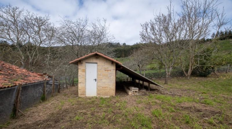 Астурия - Villaviciosa - 1295m2