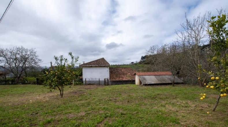 Астурия - Villaviciosa - 1295m2