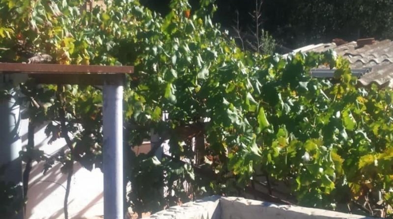 Malaga - Comares - 4104m2