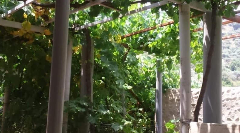 Malaga - Comares - 4104m2