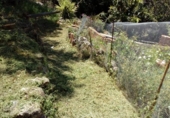 Casa de camp amb terreny en venda a la España, Comares, ref.: TR372856 foto