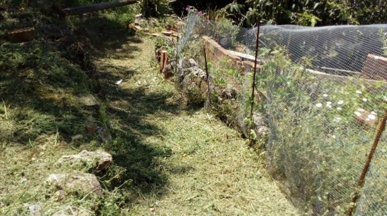 Malaga - Comares - 4104m2