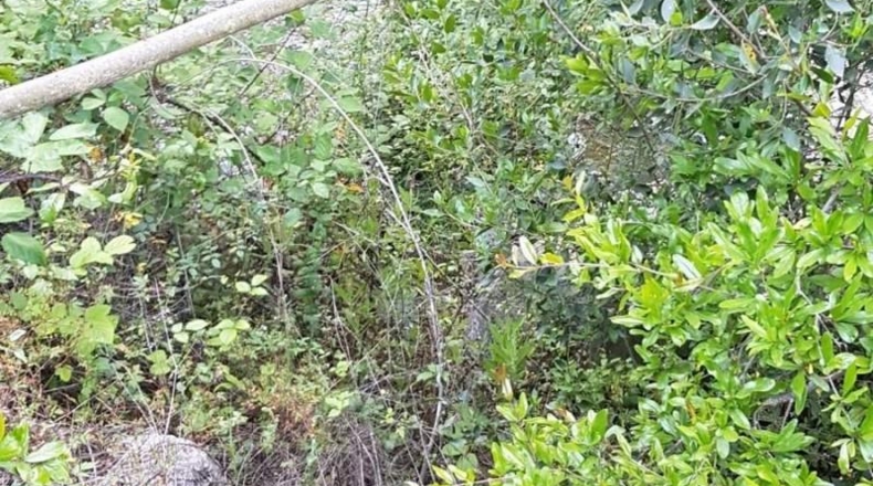 Malaga - Comares - 4104m2