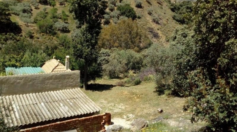 Malaga - Comares - 4104m2